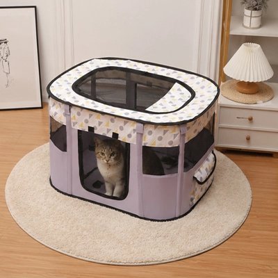 Parc pour Chat sur tapis rond chat debout dedans