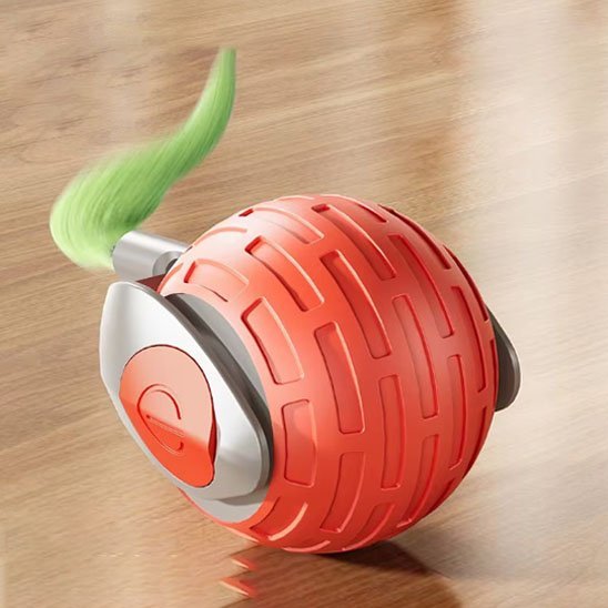 Jouet chat interactif | FéliPlay - Chatjoue