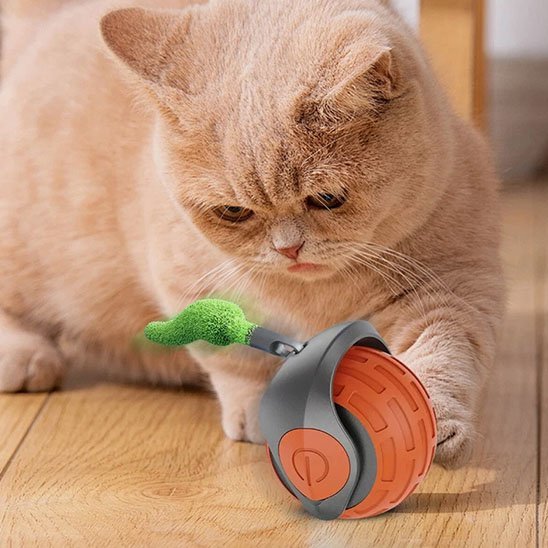 Jouet chat interactif | FéliPlay - Chatjoue