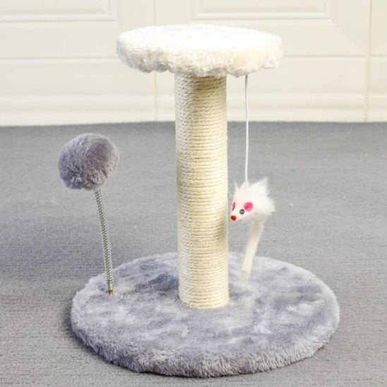 Griffoir chat | Design Protect - Chatjoue