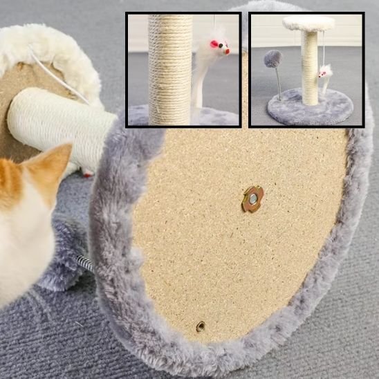 Griffoir chat | Design Protect - Chatjoue