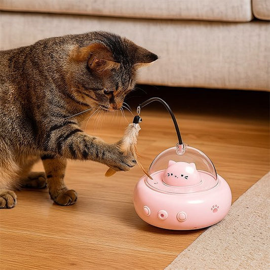 Jouet pour Chat | Chasse Interactive - Chatjoue