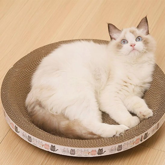 Griffoir chat | Protector Élégant - Chatjoue