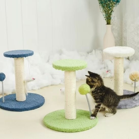 Griffoir chat | Design Protect - Chatjoue