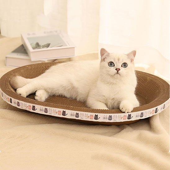 Griffoir chat | Protector Élégant - Chatjoue