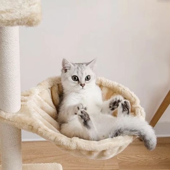 Hamac pour chat | Cozy Rêverie - Chatjoue