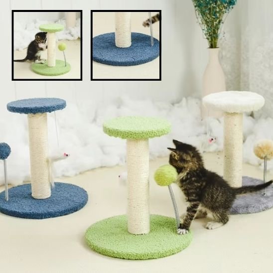 Griffoir chat | Design Protect - Chatjoue