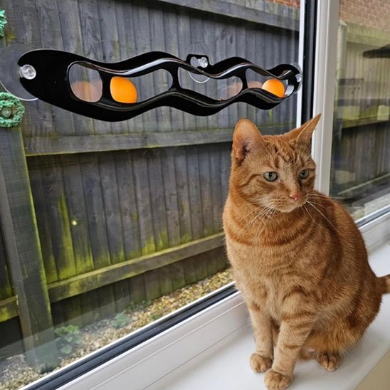 Jouet pour chat | Interactif Premium - Chatjoue