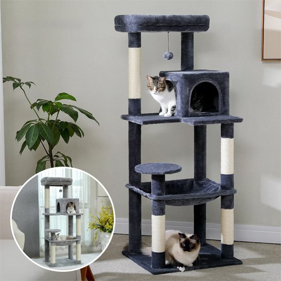 Arbre à chat | Multi - niveaux - Chatjoue