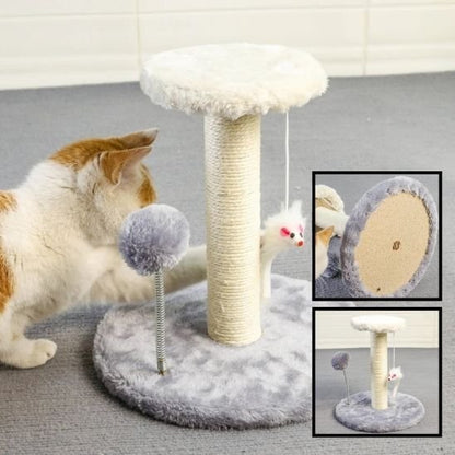 Griffoir chat | Design Protect - Chatjoue