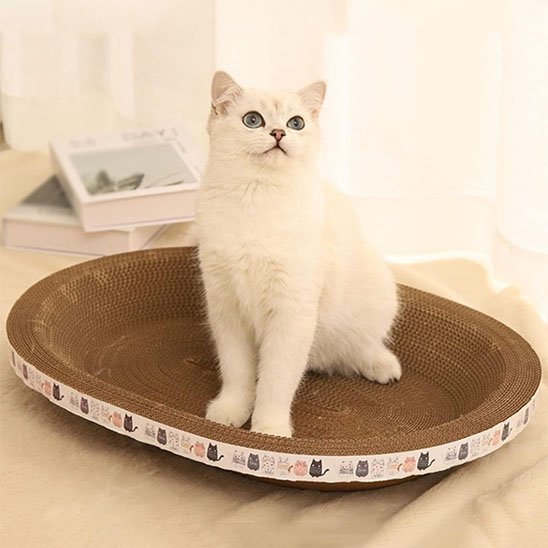 Griffoir chat | Protector Élégant - Chatjoue