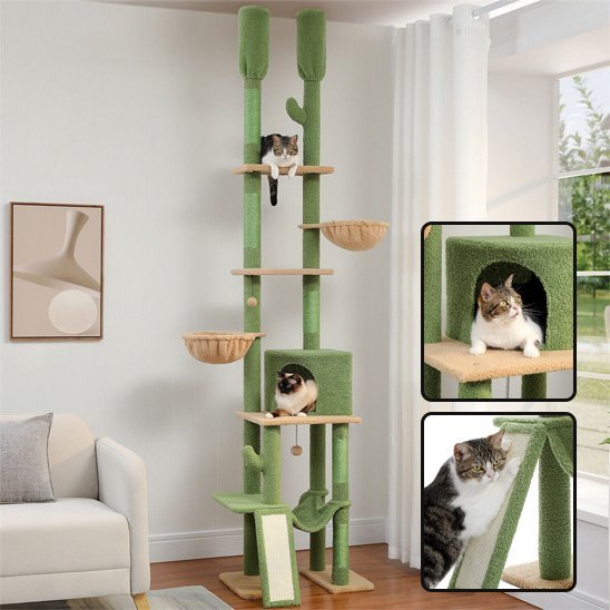 Arbre à chat | Premium Griffoir - Chatjoue