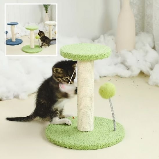 Griffoir chat | Design  - Chatjoue