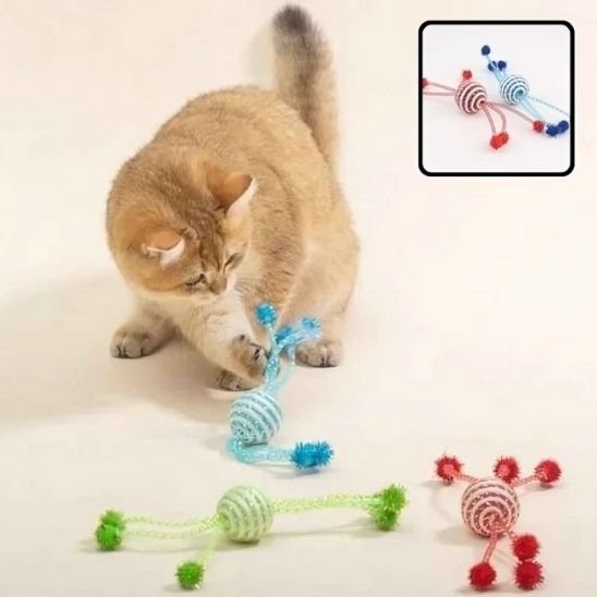 Jouet pour chat | Interactif - Chatjoue