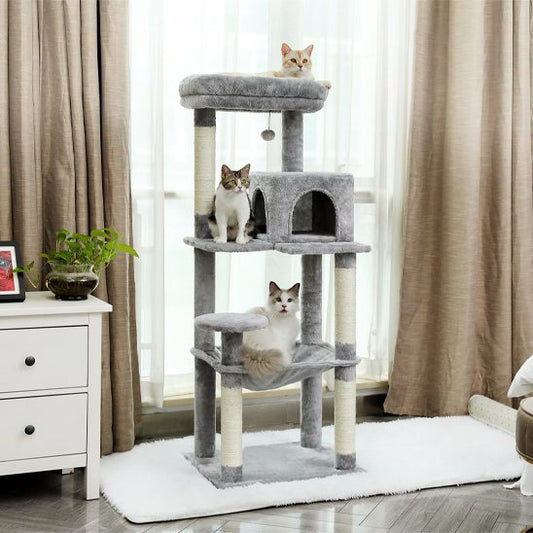 Arbre à chat | Multi - niveaux - Chatjoue