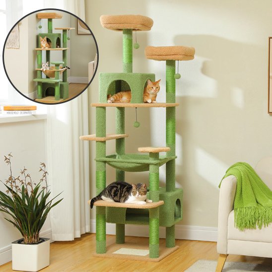 Arbre à chat | ConfortCats - Chatjoue