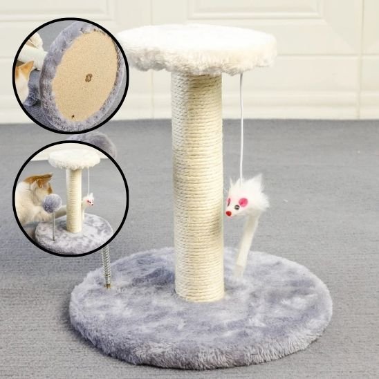 Griffoir chat | Design Protect - Chatjoue