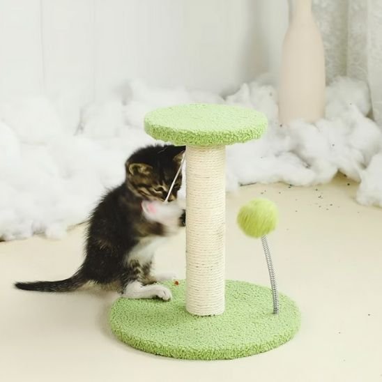 Griffoir chat | Design Protect - Chatjoue