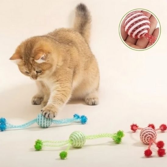 Jouet pour chat | Interactif - Chatjoue