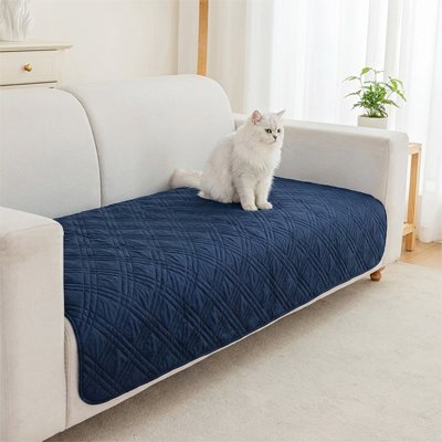 Protection canapé Chat bleu marine avec chat blanc canapé blanc 