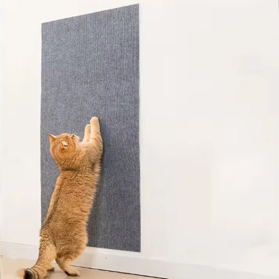 Protection canapé chat pour canapé ou mur