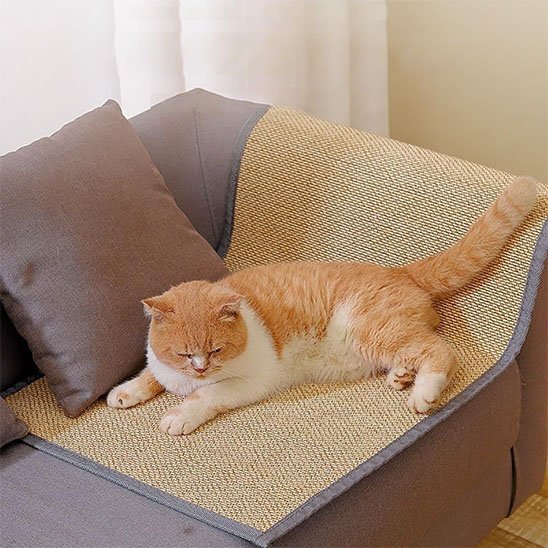 Protection canapé chat repositionnable | Anti - Griffures | chatjoue - Chatjoue