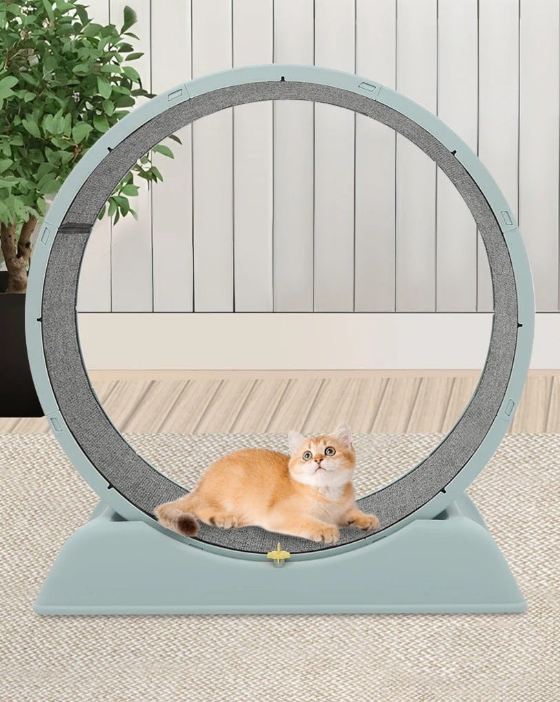 roue d'exercice pour chat beau design