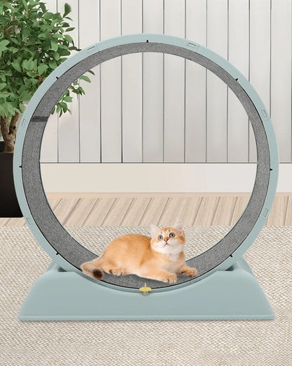 roue d'exercice pour chat beau design