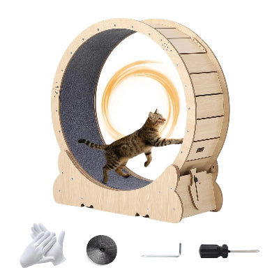 roue d'exercice pour chat en bois