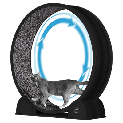 roue d'exercice pour chat facile à nettoyer