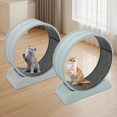 roue d'exercice pour chat idéal pour éviter le surpoids