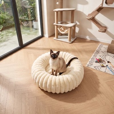 siamois assis dans Coussin pour Chat beige devant fenêtre