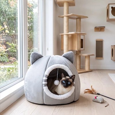 Siamois couché dans Niche pour Chat devant fenêtre