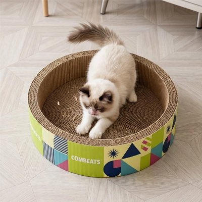 siamois fait ses griffe sur Griffoir Chat carton rond