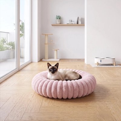 siamois installé dans Coussin pour Chat devant baie vitrée