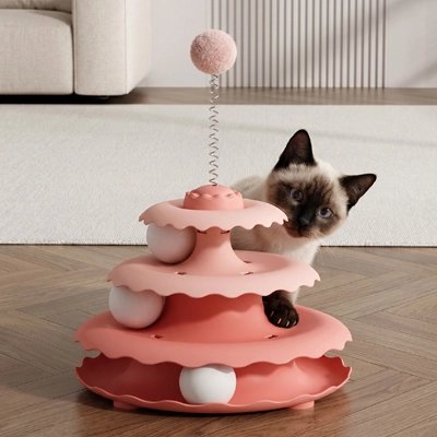 siamois joue avec Jouet pour Chat rose