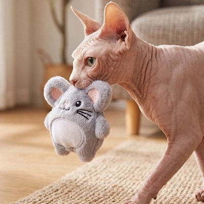 sphinx tient Jouet chat souris dans sa gueule 