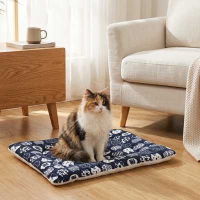 Tapis Chat avec un chat Isabelle assis dessus
