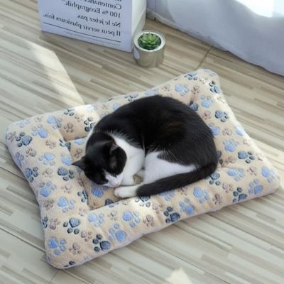 Tapis chat crème pattes bleues chat noir et blanc dort
