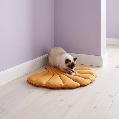Tapis Chat dans coin avec chat qui joue dessus