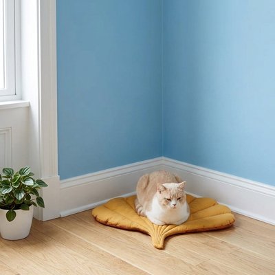 Tapis Chat dans un coin avec un chat sable dessus
