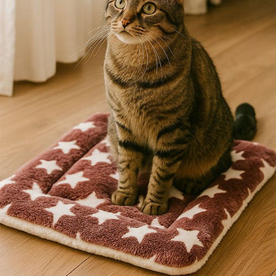 Tapis chat marron avec des étoiles blanches
