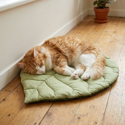 Tapis Chat surface idéal pour un ou plusieurs chats