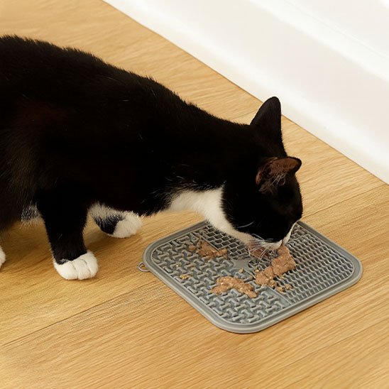 Tapis de léchage de couleur gris