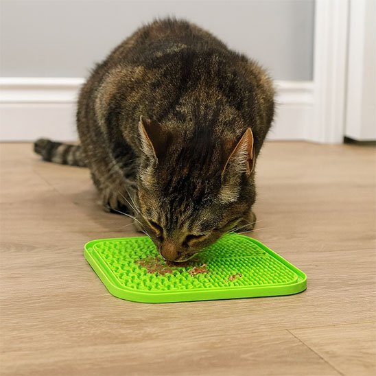Tapis de léchage de couleur vert