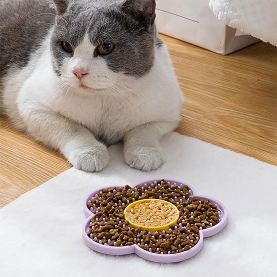 Tapis de léchage peu s'accrocher