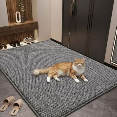 Tapis griffoir chat beau terrain de jeux | DuoProtect - chatjoue - Chatjoue