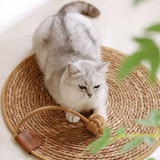 Tapis griffoir chat