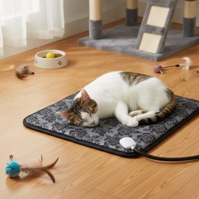 Tapis pour chat avec chat dormant près arbre à chat