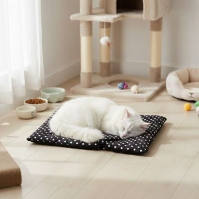 Tapis pour chat devant fenêtre et chat blanc qui dort